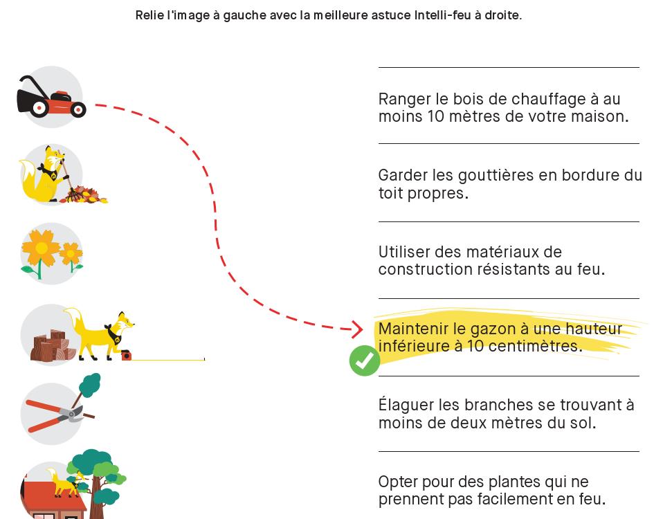 word_assoc_fr