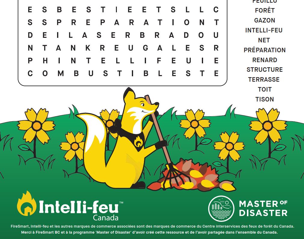 wordsearch_fr
